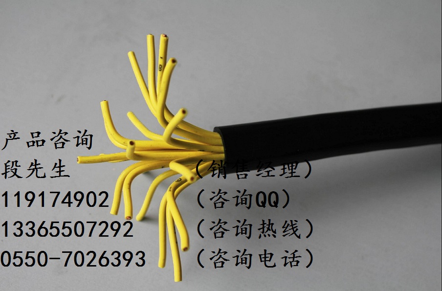 阻燃控制電纜KVVP1、ZR-KYGG