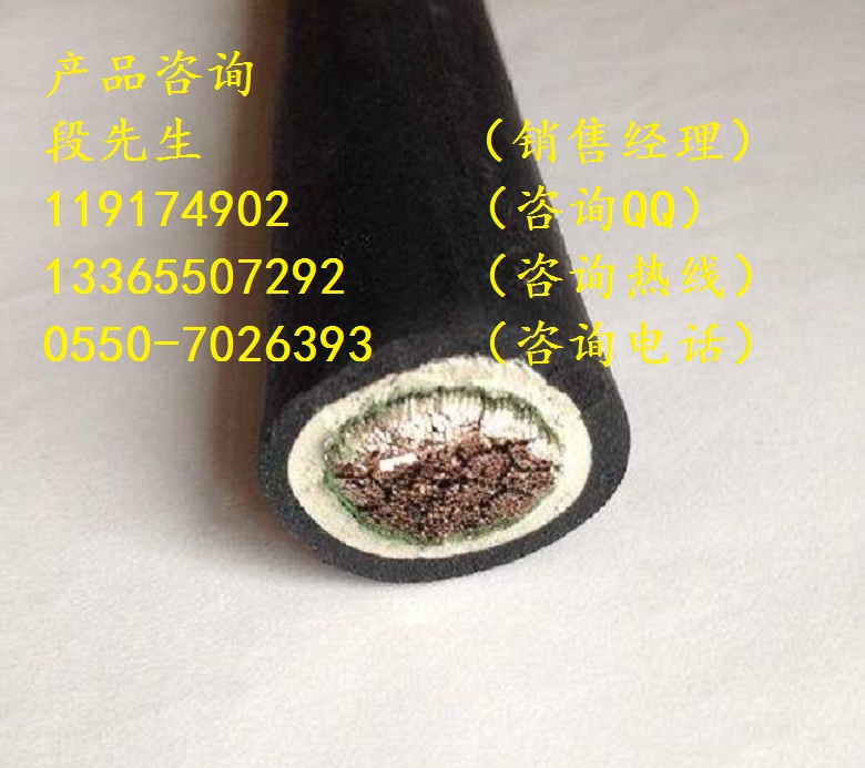 DCEH/3-100特種機車電纜