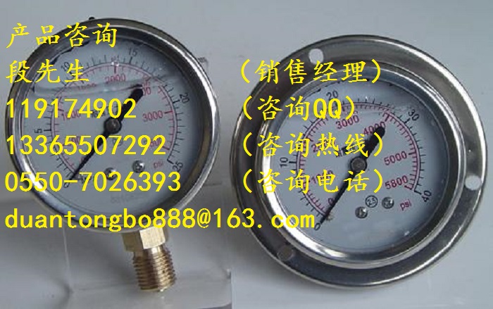 Y-60B不銹鋼壓力表0-10MPa價(jià)格