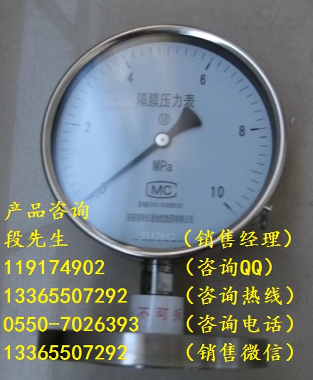 Y-153B不銹鋼壓力表0-60MPa價(jià)格