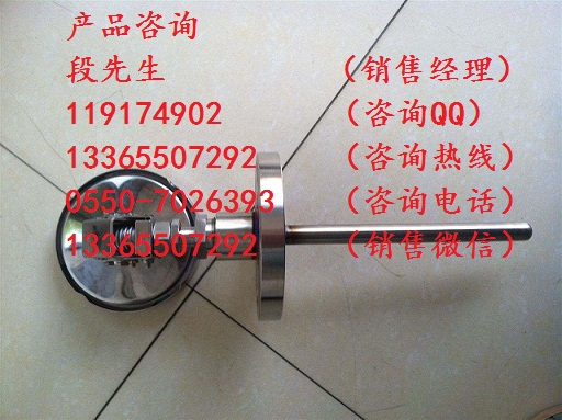 廠家供應(yīng)WSS-522溫度傳感器