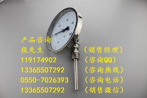廠家供應WSSX-416B雙金屬溫度計