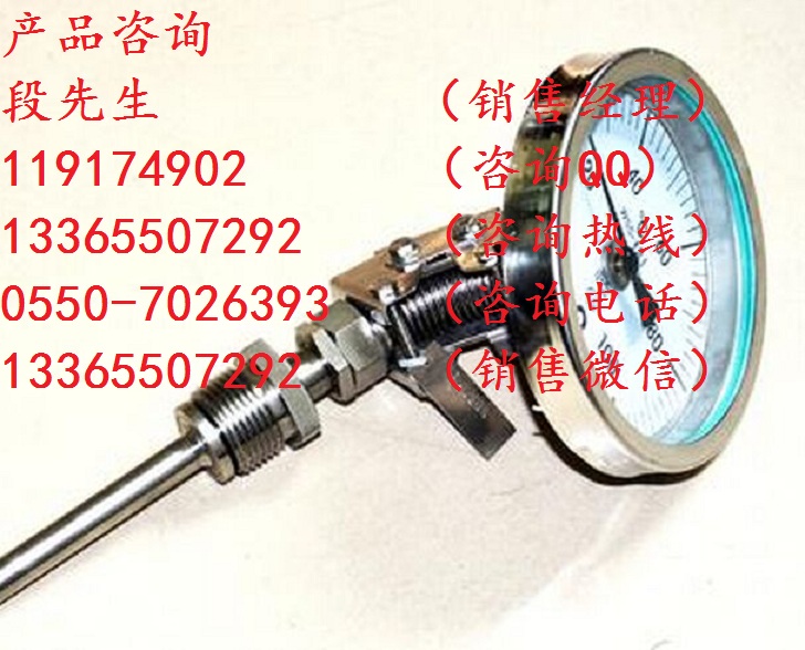 廠家供應(yīng)WSS-482溫度傳感器