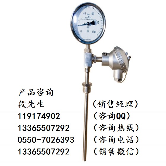 現(xiàn)貨供應(yīng)WSS-406雙金屬溫度計(jì)