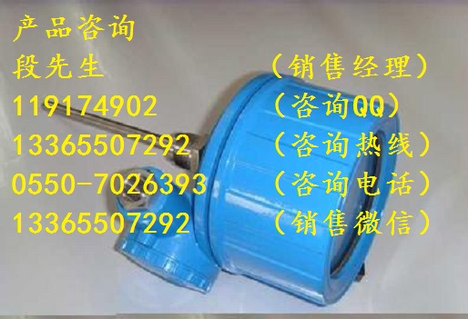 廠家供應(yīng)WSS-481溫度傳感器