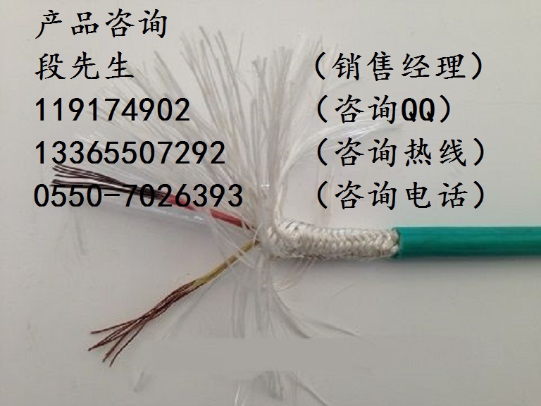 EX-GA-YVVRP-2*1.5精密級電纜，ZR-TX-HA-FFP-2*2*1.0補償電纜
