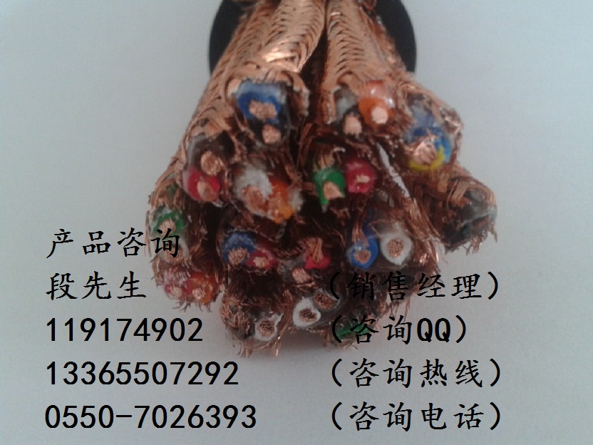 防火信號電纜NH-DJYP3VP3-2*3*0.75
