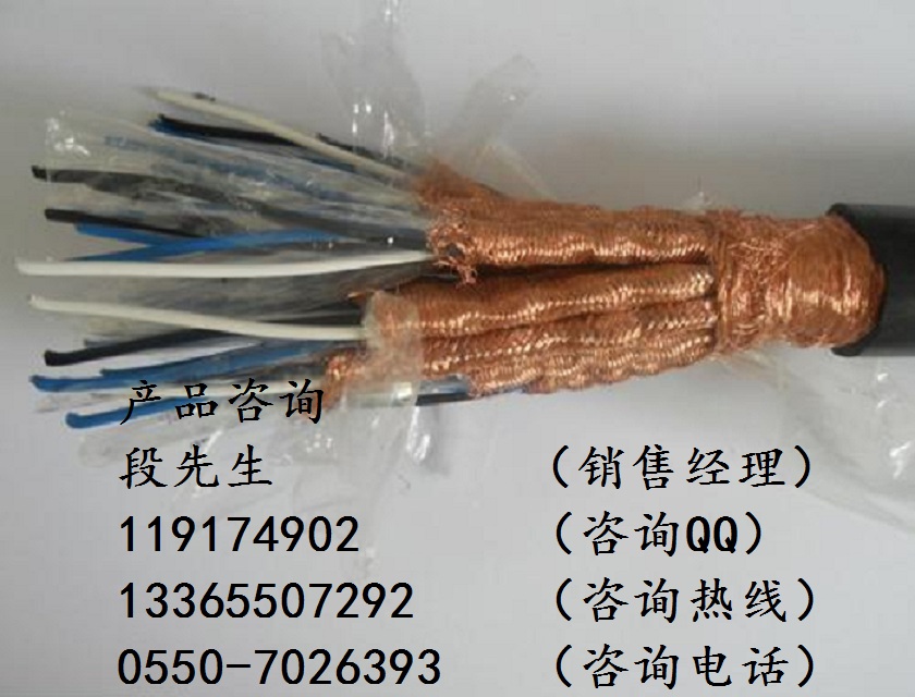 耐火DCS電纜NH-DJYVR2*2*0.5