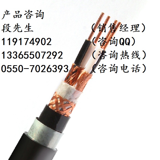 防火計(jì)算機(jī)電纜NH-DJYVP3-2*2*1.0