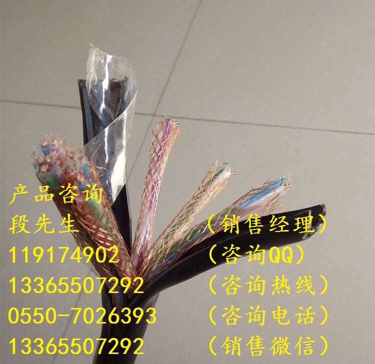 耐火計算機電纜NH-DJYVR1*3*0.75