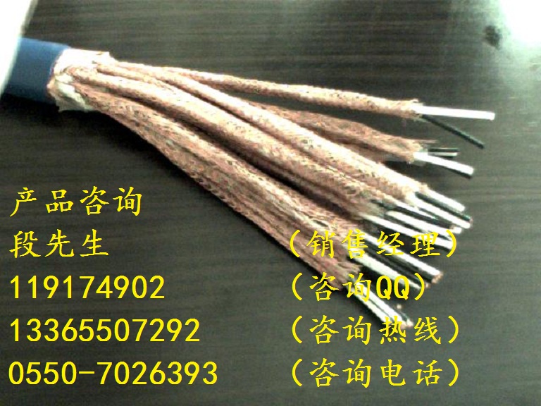 ZBN-DJYVRP3-1*2*0.75阻燃計算機電纜