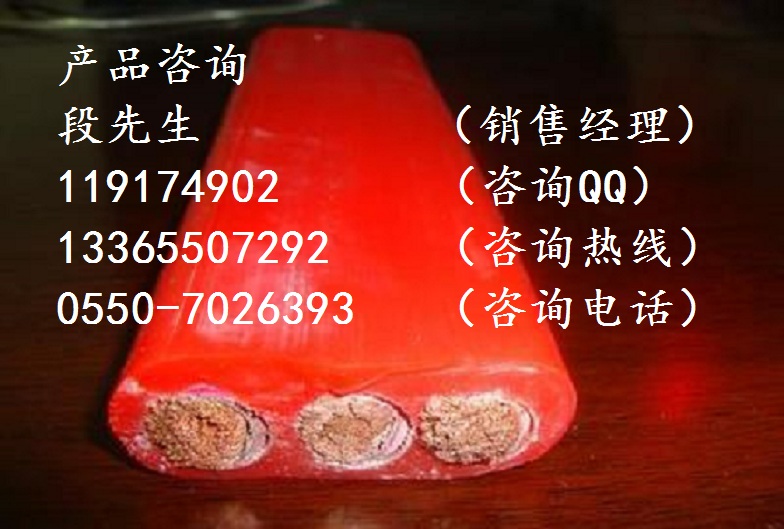 防腐扁電纜YGGB-2*70