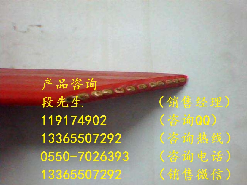 柔軟硅橡膠扁電纜YGGB-4*70
