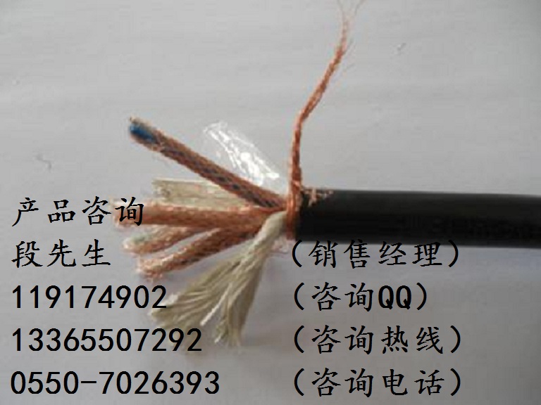 DJYJVP-3*2*1.0計算機電纜