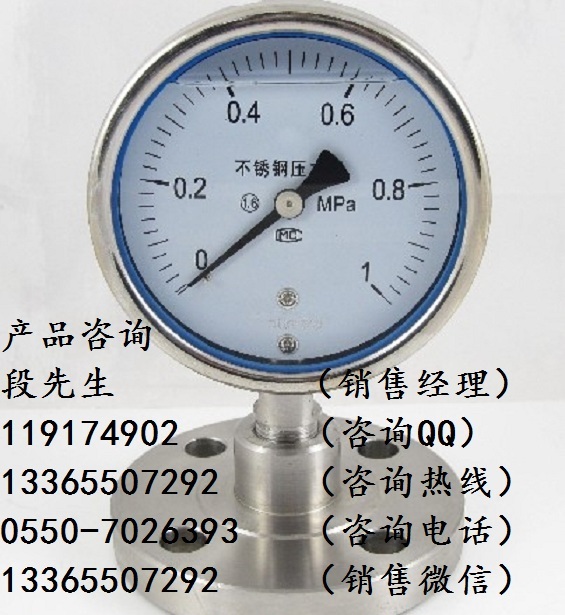 Y-100B不銹鋼壓力表