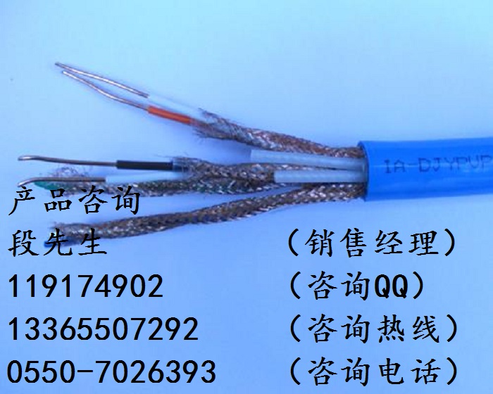 本安型屏蔽信號(hào)電纜IA-DJYVP3-4*2*1.0多少錢