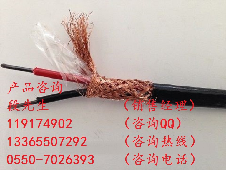 氟塑料耐高溫阻燃補(bǔ)償導(dǎo)線ZRB-SC-HS-FFP-2*1.5
