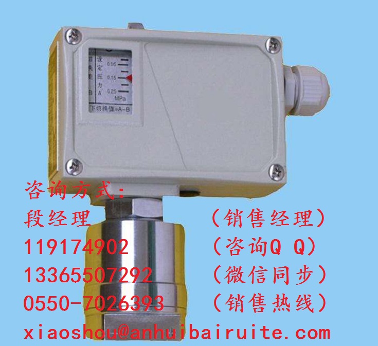 TXK-102壓力控制器優(yōu)質(zhì)生產(chǎn)廠家