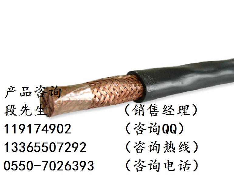 防腐耐高溫計(jì)算機(jī)屏蔽電纜DJFFP200