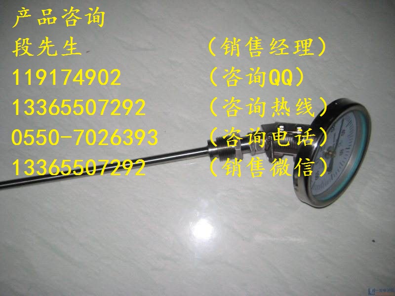 廠家熱銷溫度傳感器WSS-510雙金屬溫度計