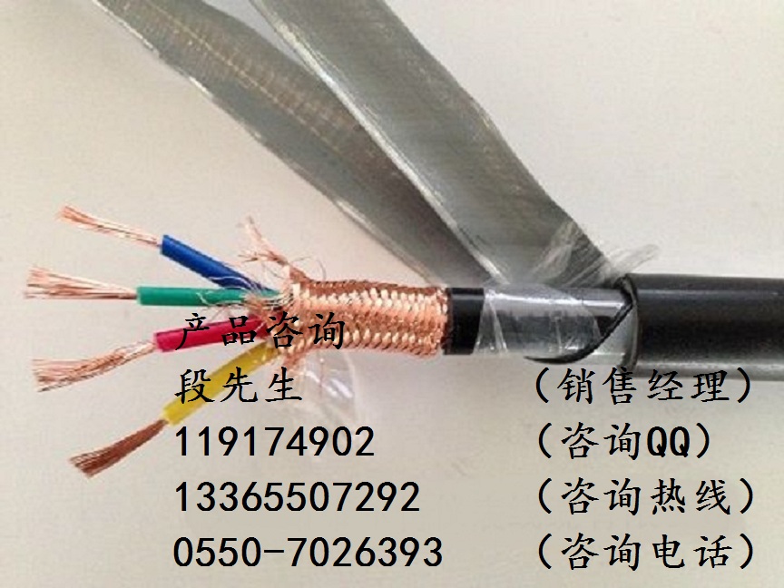 ZR-DJYP2VP2-22-2*2*1.0阻燃計算機(jī)電纜_
