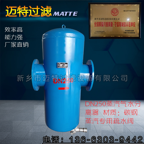 蒸汽分離器