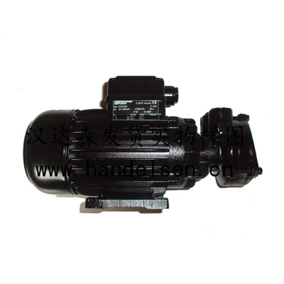 BRINKMANN  插桶泵  TB100/120
