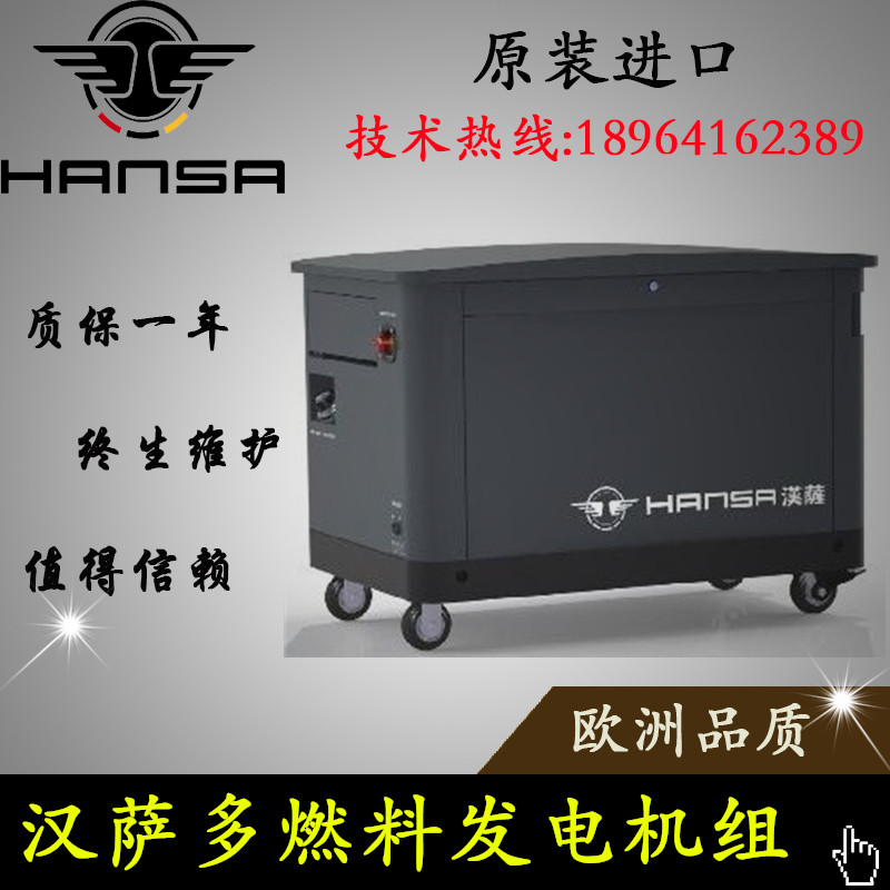 漢薩動(dòng)力大型多燃料汽油發(fā)電機(jī)15kw發(fā)貨甘肅