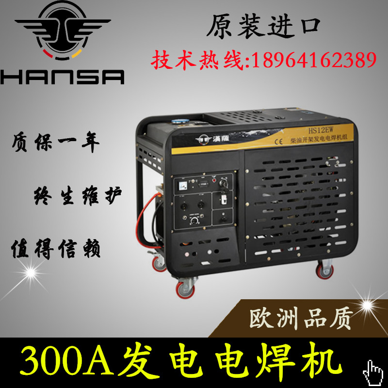 HS12EW進(jìn)口德國(guó)300A發(fā)電電焊一體機(jī)