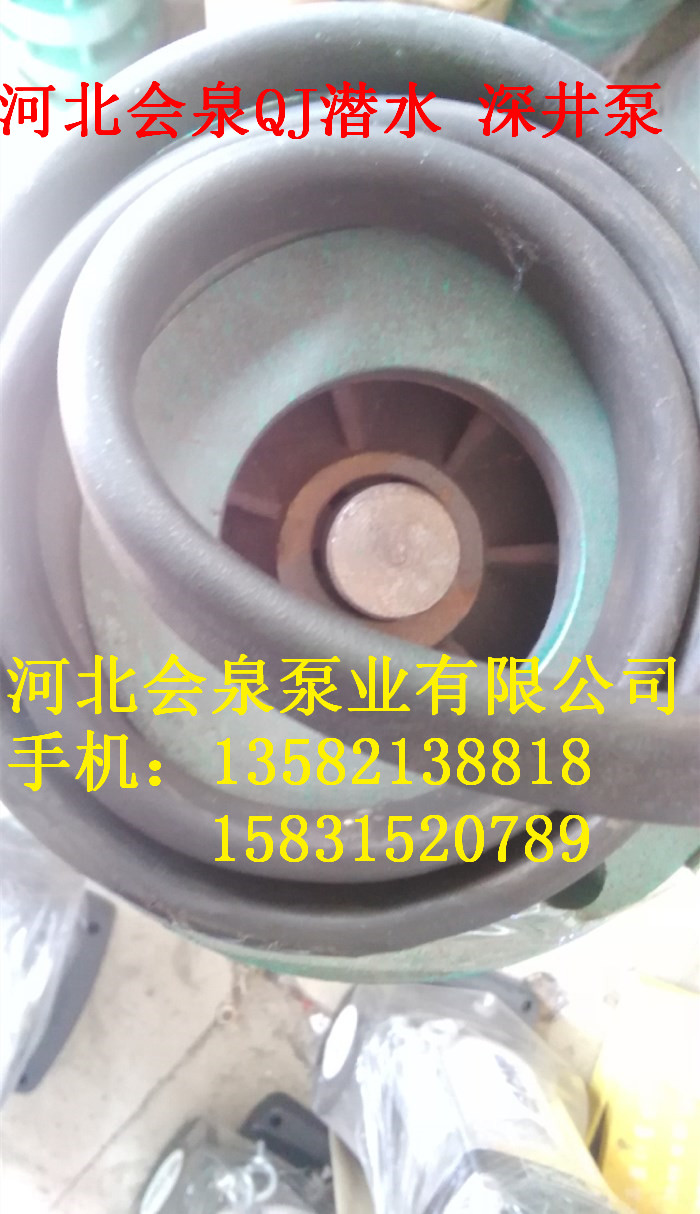 銅線潛水泵150QJ25-72《會(huì)泉》