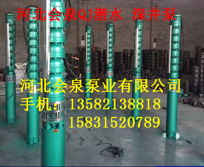 不銹鋼螺桿深井泵125QJ20-100《會(huì)泉》