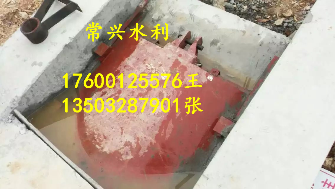 黑龍江單吊點(diǎn)閘門(mén)維修 安裝