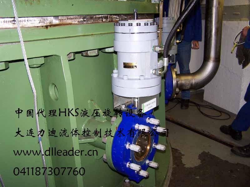 價(jià)格優(yōu)勢(shì) HORA閥 -大連力迪流體控制技術(shù)有限公司