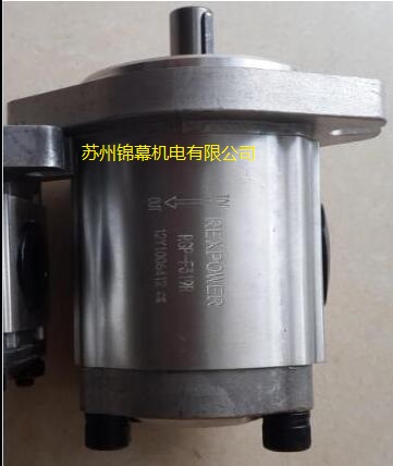RGP-F204R 臺灣REXPOWER銳力齒輪泵，液壓元件產(chǎn)生液壓卡緊時
