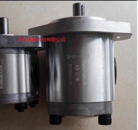 RBB-208臺(tái)灣REXPOWER銳力擺線齒輪泵，存在偏心距[圖
