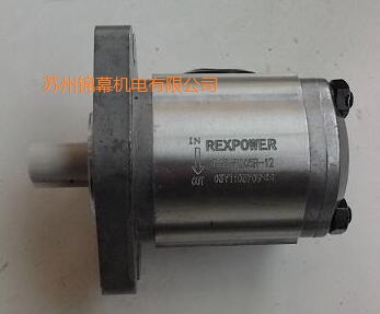 RBB-220臺灣REXPOWER銳力擺線齒輪泵，上縫隙值不斷增大