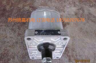 2SM-16意大利GALTECH高泰克齒輪泵，噴射嘴	