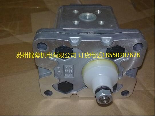 ALP2BK1-D-20-FG意大利Marzocchi馬祖奇齒輪泵，錦幕代理