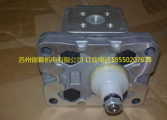 ALP2BK2-D-12-FG意大利Marzocchi馬祖奇齒輪泵，意大利產(chǎn)品