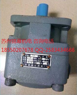 PVL12-14-33-F-1R-UU-10臺(tái)灣HIGH-TECH海特克，液壓泵