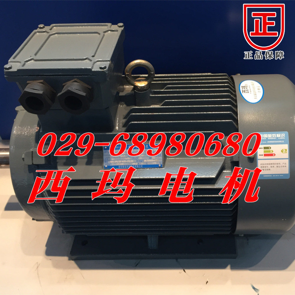 YGM132S2-2/7.5KW泰富西瑪交流電動(dòng)機(jī)