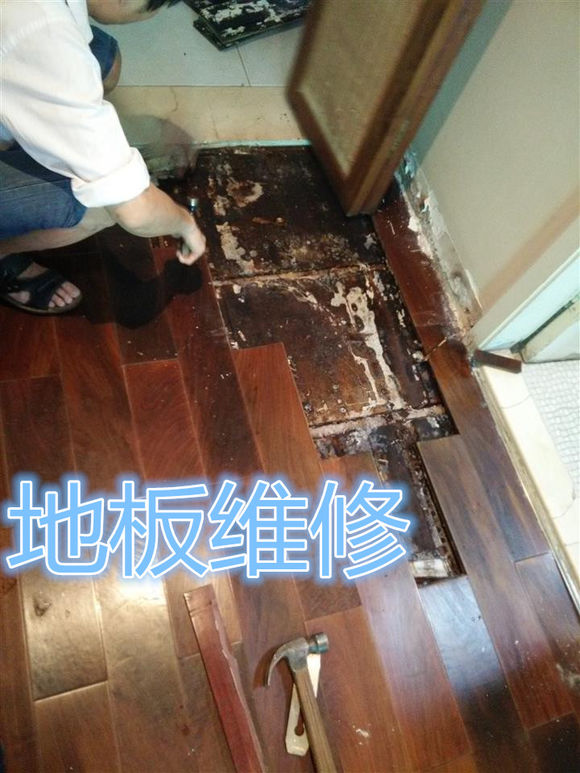 蘇州各區(qū)專(zhuān)業(yè)各種地板拆裝，維修，地板變形處理 地板水泡處理