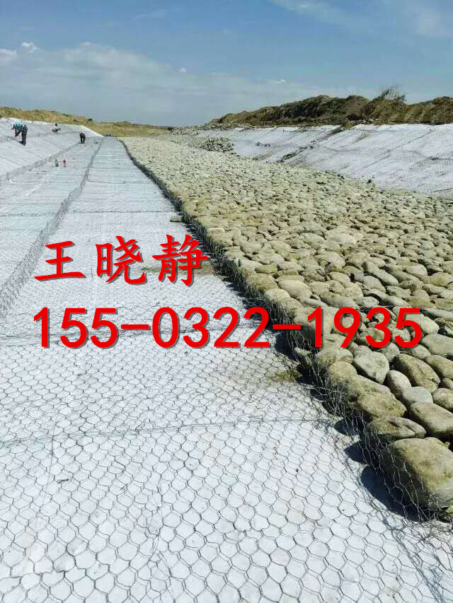 雙隔板水利雷諾護墊廠家報價