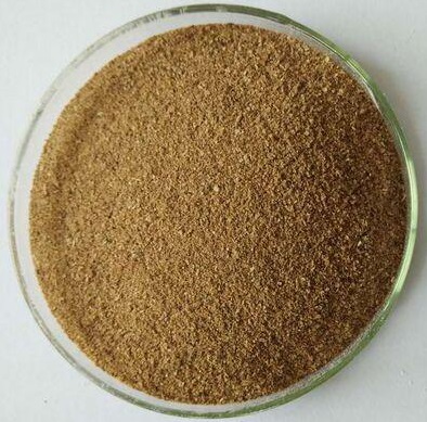 深圳激活菌價(jià)格，激活菌種污水處理技術(shù)廠家