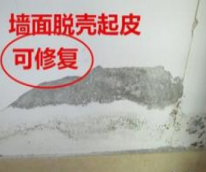蘇州新區(qū)專業(yè)刷墻,刮膩?zhàn)?墻面刷新,發(fā)霉,裂縫,脫落等修補(bǔ)