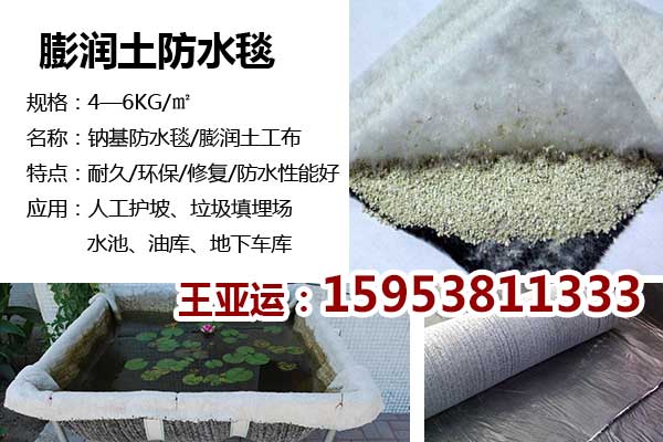 重慶酉陽30KN雙向塑料格柵、廠家發(fā)貨快好價格低