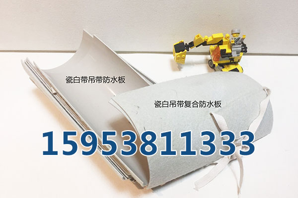 臨夏30KN雙向塑料格柵、廠家發(fā)貨快好價(jià)格低