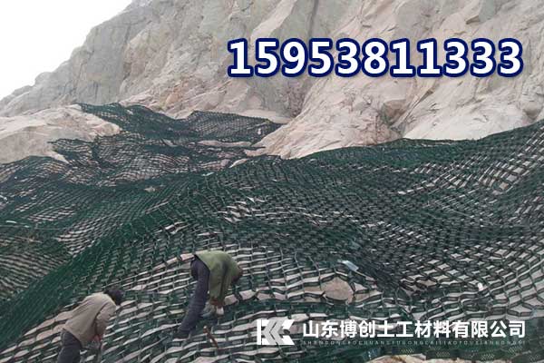 重慶黔江30KN雙向塑料格柵、廠家發(fā)貨快好價(jià)格低