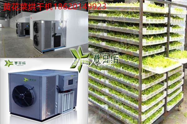 平?jīng)鳇S花菜烘干機(jī)多少錢