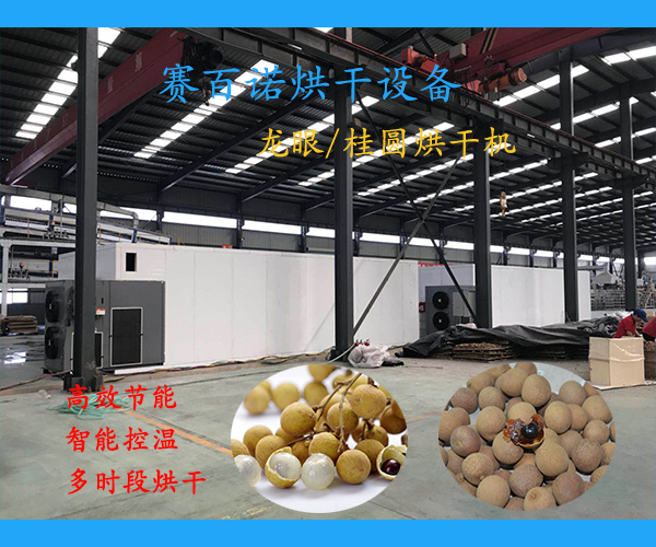 東營桂圓烘干機家用